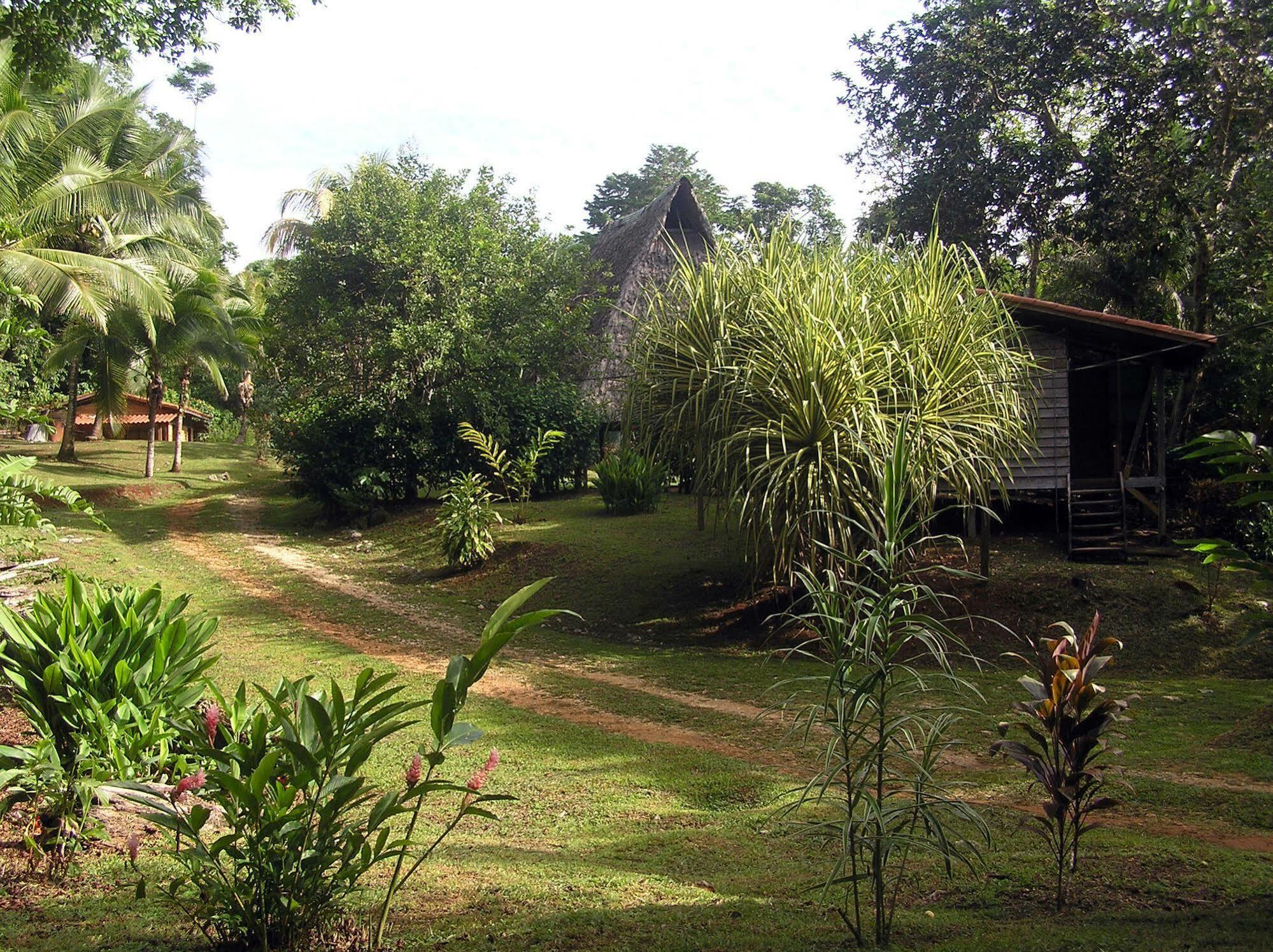 Suital Lodge Mogos Exterior photo